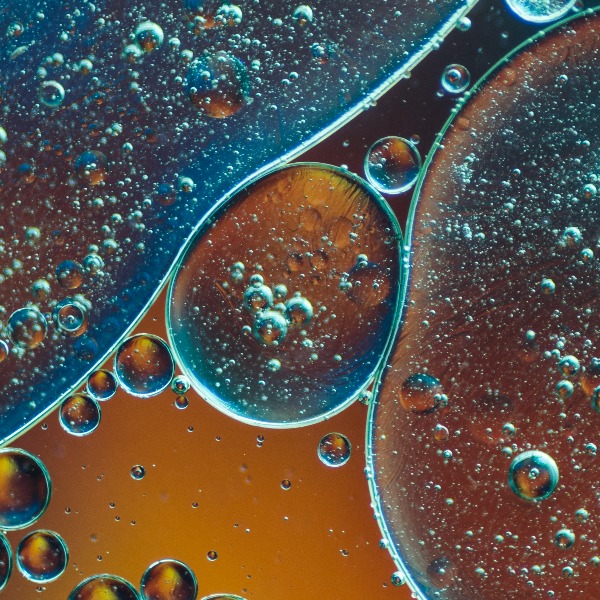 natural fermentation probiotics