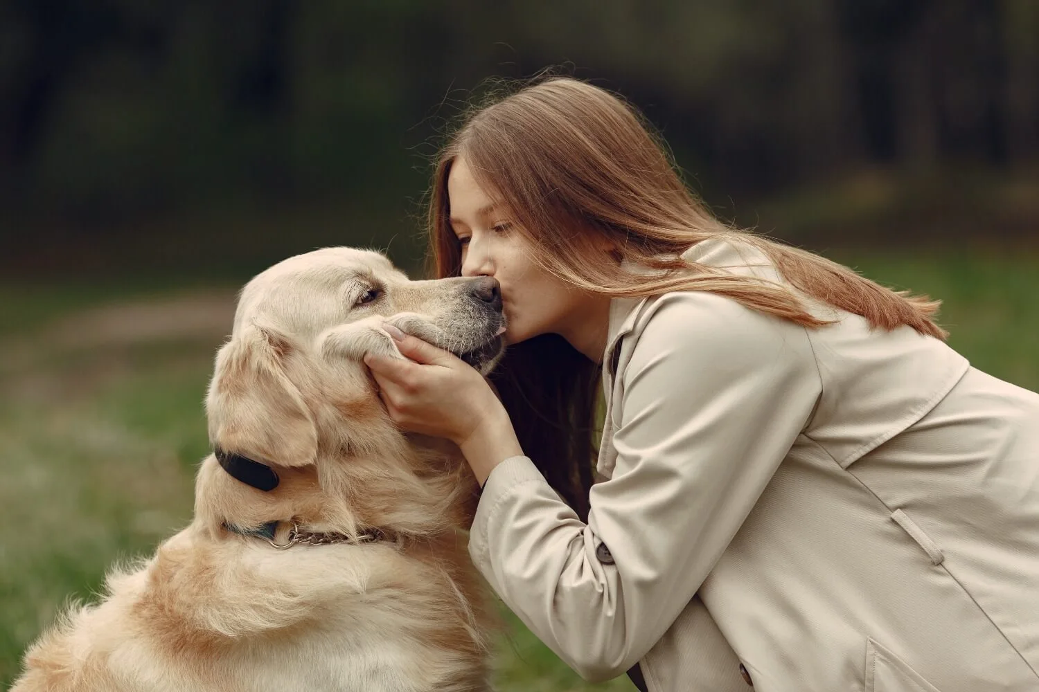 pet probiotics