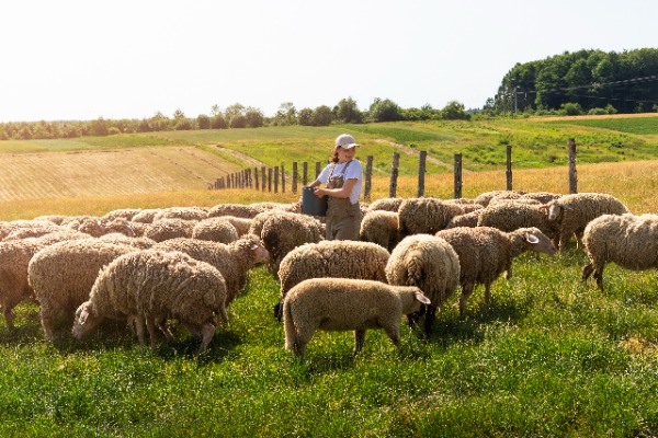 probiotics for livestock