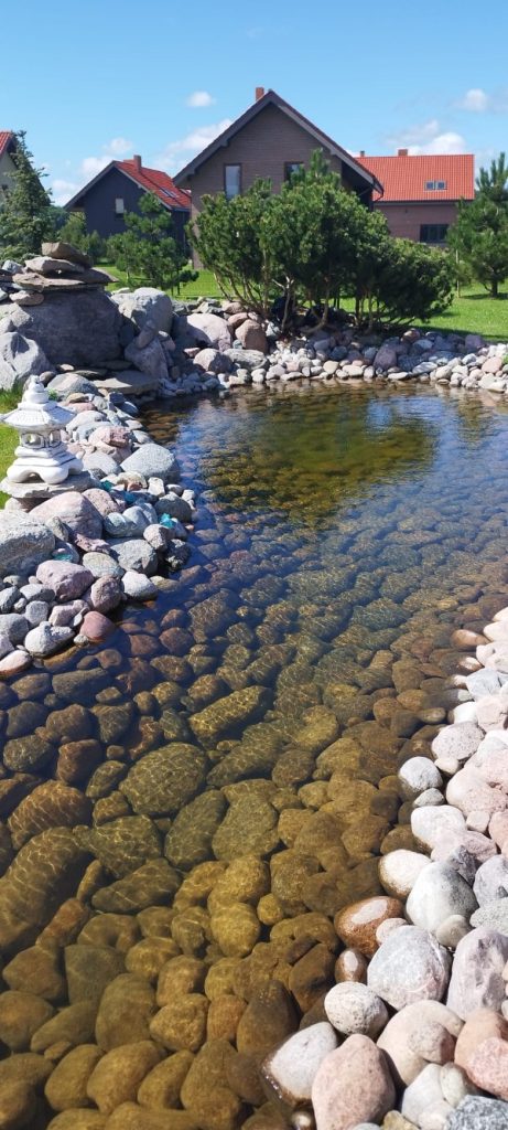 Pond Cleaning Probiotics: How a Decorative Pond Became Clear Again Naturally dekoratyvinio prudo prieziura
