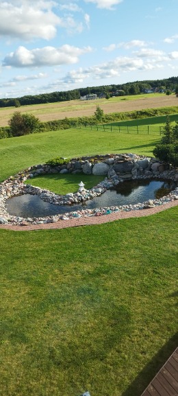 Pond Cleaning Probiotics: How a Decorative Pond Became Clear Again Naturally probiotikai prudams