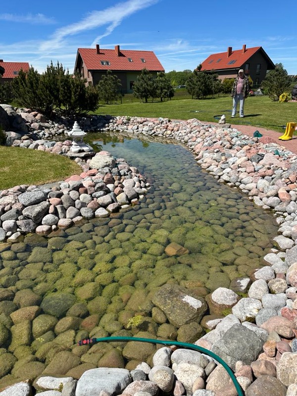 Pond Cleaning Probiotics: How a Decorative Pond Became Clear Again Naturally probiotikai tvenkiniu valymui