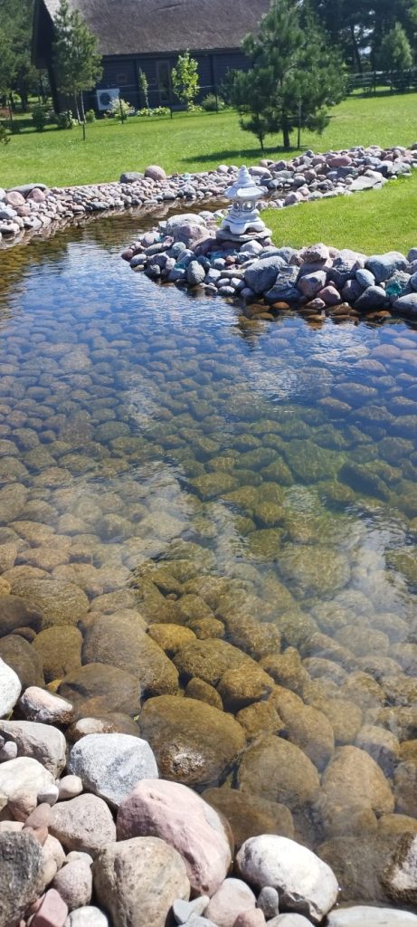 Pond Cleaning Probiotics: How a Decorative Pond Became Clear Again Naturally probiotikai tvenkiniui