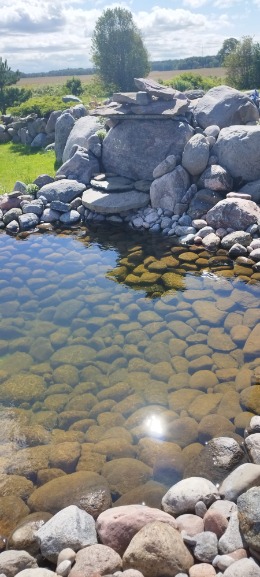 Pond Cleaning Probiotics: How a Decorative Pond Became Clear Again Naturally probiotikai vandens telkiniams