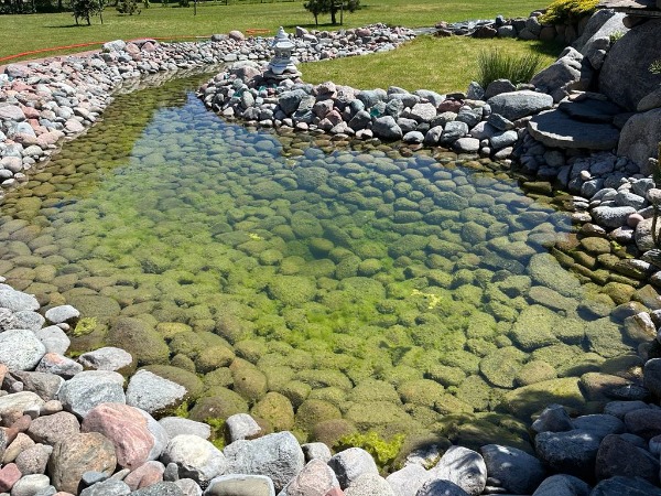 Pond Cleaning Probiotics: How a Decorative Pond Became Clear Again Naturally tvenkinio prieziura