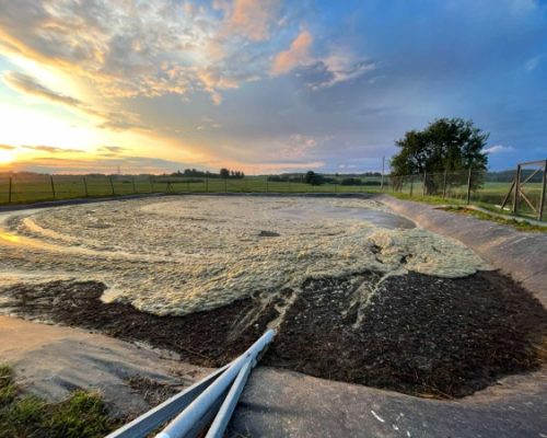 odor reduction in livestock farming