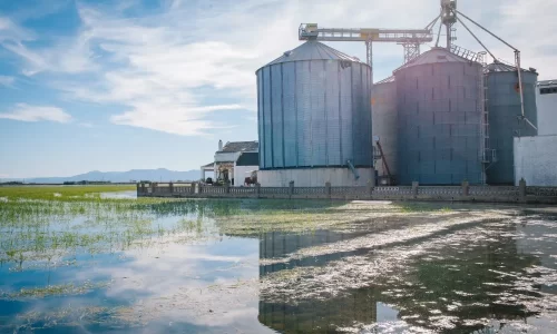 wastewater treatment