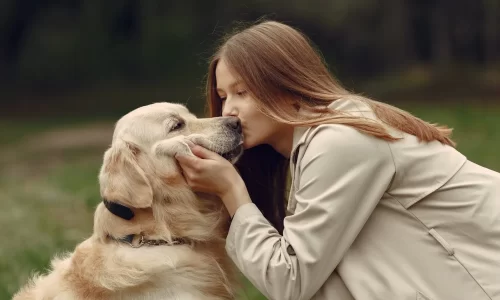 pet probiotics