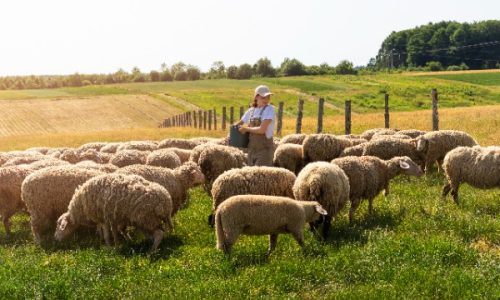 probiotics for livestock